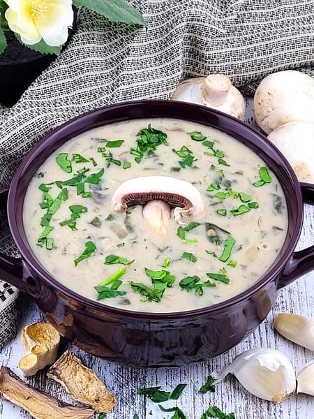 aldonas kitchen mushroom soup
